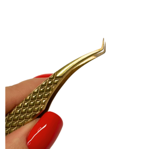 TOP NAUJIENA! PREMIUM 2